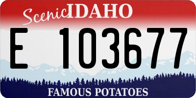 ID license plate E103677