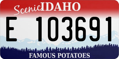 ID license plate E103691