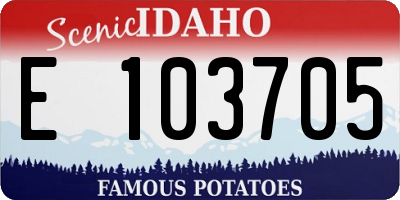 ID license plate E103705