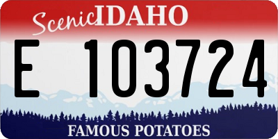 ID license plate E103724