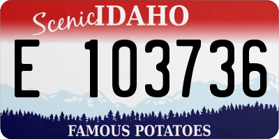 ID license plate E103736