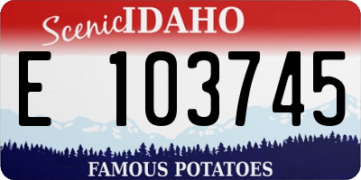 ID license plate E103745