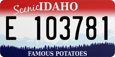 ID license plate E103781