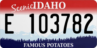 ID license plate E103782
