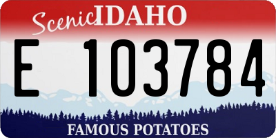 ID license plate E103784