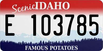 ID license plate E103785