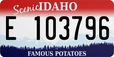ID license plate E103796