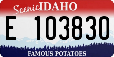 ID license plate E103830