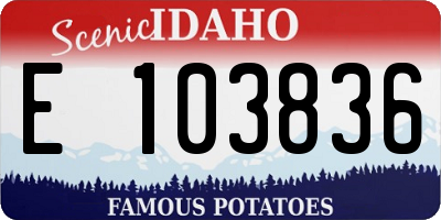 ID license plate E103836