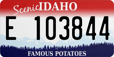 ID license plate E103844