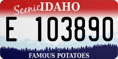 ID license plate E103890