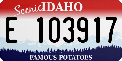 ID license plate E103917