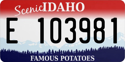 ID license plate E103981