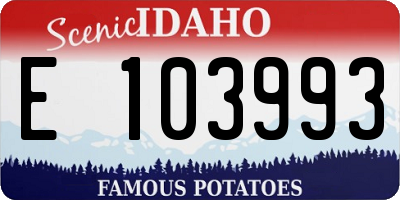 ID license plate E103993