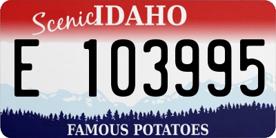 ID license plate E103995