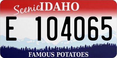 ID license plate E104065