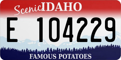 ID license plate E104229