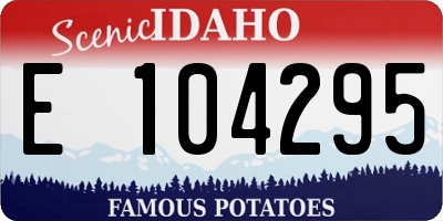 ID license plate E104295