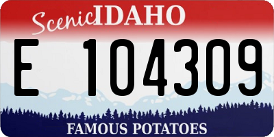 ID license plate E104309