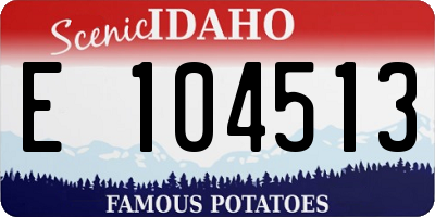 ID license plate E104513