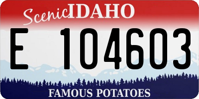 ID license plate E104603