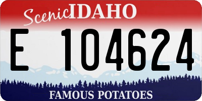 ID license plate E104624