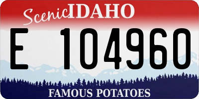 ID license plate E104960