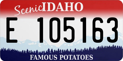 ID license plate E105163