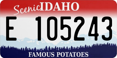 ID license plate E105243