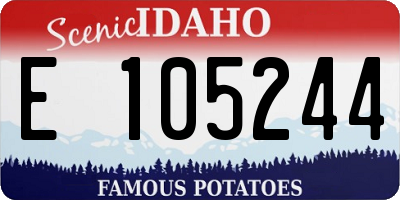 ID license plate E105244