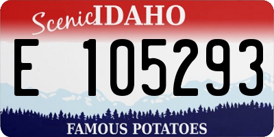 ID license plate E105293