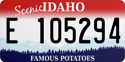 ID license plate E105294