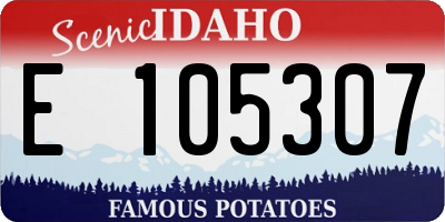 ID license plate E105307