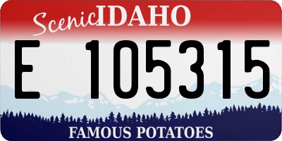 ID license plate E105315