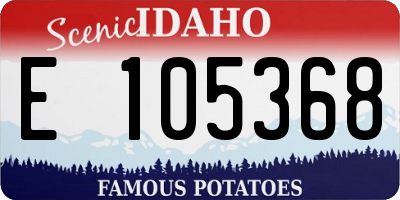 ID license plate E105368