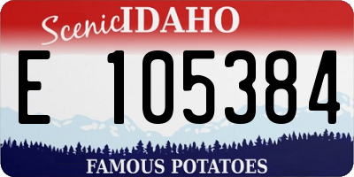 ID license plate E105384