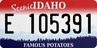 ID license plate E105391