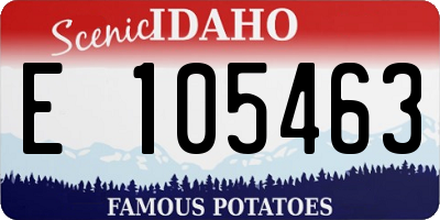 ID license plate E105463
