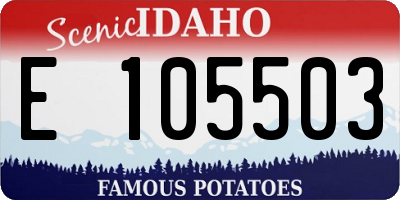 ID license plate E105503