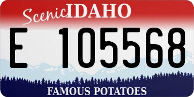 ID license plate E105568