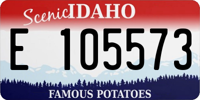 ID license plate E105573