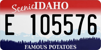 ID license plate E105576
