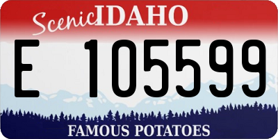 ID license plate E105599