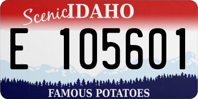 ID license plate E105601
