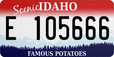 ID license plate E105666