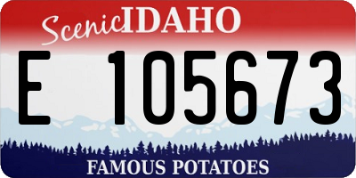 ID license plate E105673