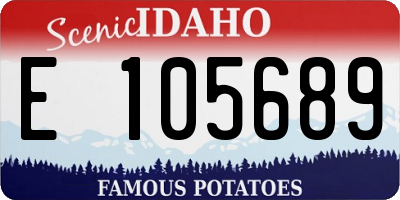 ID license plate E105689