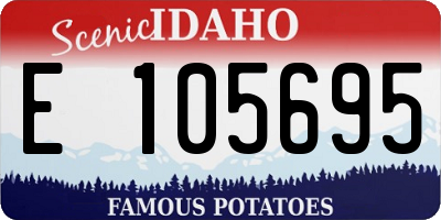 ID license plate E105695