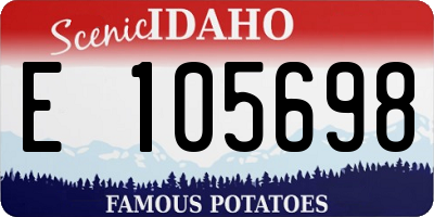 ID license plate E105698