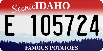 ID license plate E105724